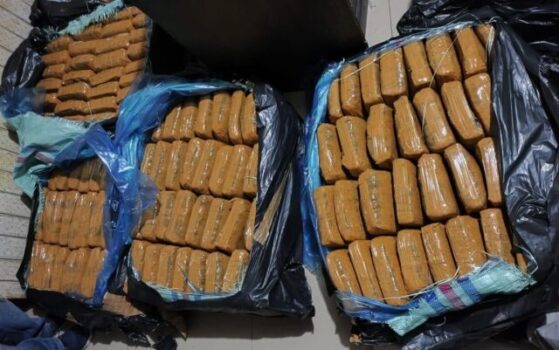 Dua Kurir Ditangkap, Penyelundupan 159 Kilogram Ganja ke Tangerang Digagalkan