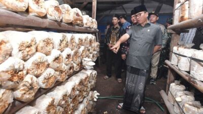 Bermalam di Desa, Jamur Tiram Jadi Temuan “Berharga” Mendes Yandri di Lampung Buat Makan Siang Bergizi