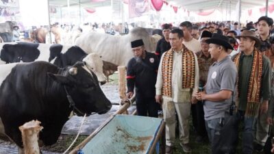 Kunjungan ke Lampung, Mentan Amran Respons Cepat Bereskan Keluhan Petani dan Peternak