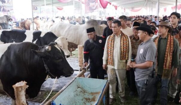 Kunjungan ke Lampung, Mentan Amran Respons Cepat Bereskan Keluhan Petani dan Peternak