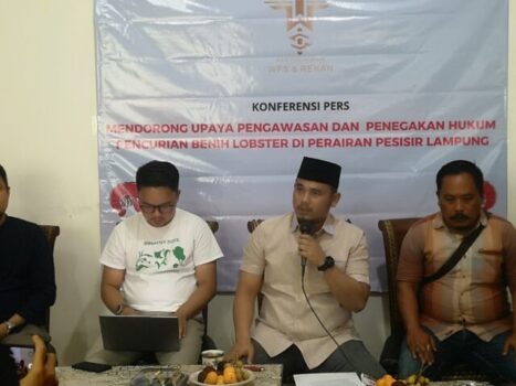 Anggota DPRD Lampung Duga Ada Aparat Keamanan dalam Penyelundupan  Benih Lobster