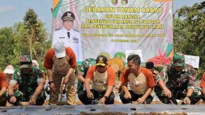 Pj Gubernur Lampung Mengawali Gerakan Tanam Cabai di Lantim