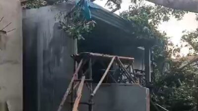 Timpa Dua Unit Rumah, Warga Minta Peremajaan Pepohonan di Kawasan Hutan Kota Lampung Utara
