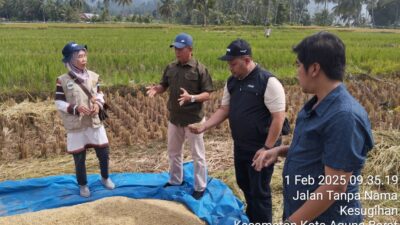 Bulog Lampung Serap Gabah dan Beras Sesuai Kualitas dan HPP