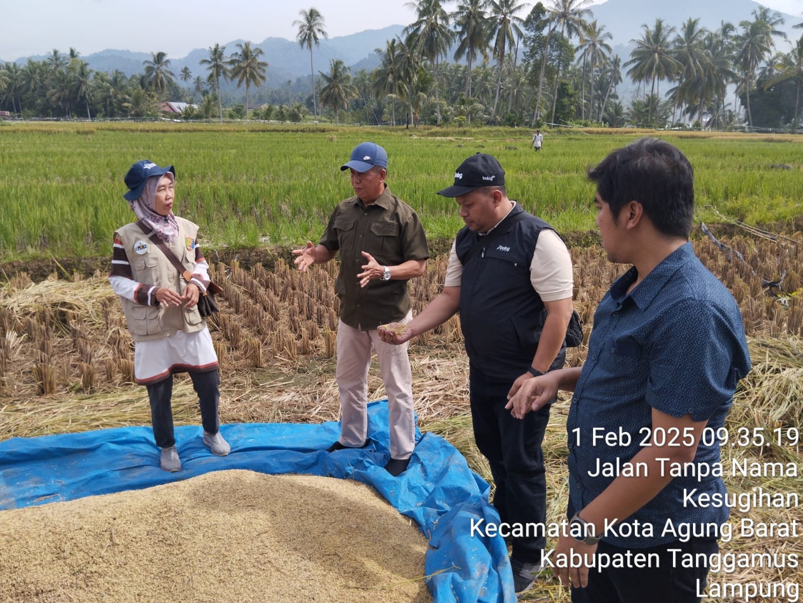 Bulog Lampung Serap Gabah dan Beras Sesuai Kualitas dan HPP