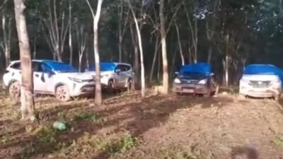 Puluhan Mobil Tertinggal di Arena Sabung Ayam Way Kanan Lampung