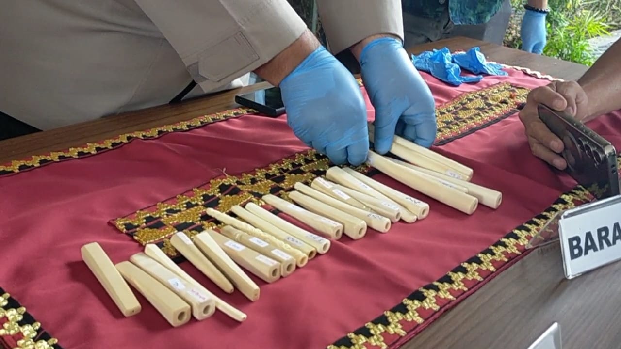 Polda Lampung Imbau Warga Hindari Jual Beli Bagian Satwa Dilindungi