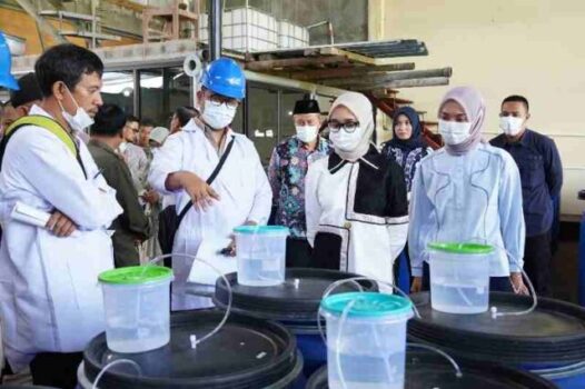 Gubernur Cukupi Kebutuhan Pupuk 190.851 Petani Lampung