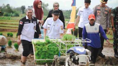 Pemprov Lampung Gaspol Musim Tanam Kedua, Targetkan 3,5 Juta Ton Padi di 2025