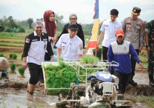 Pemprov Lampung Gaspol Musim Tanam Kedua, Targetkan 3,5 Juta Ton Padi di 2025