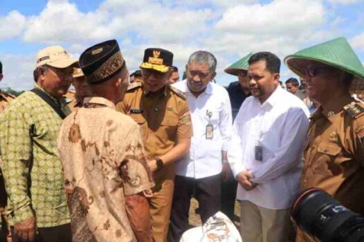 Petani Lampung Sambut Gembira Panen Raya, Pemerintah Pastikan Harga Gabah Menguntungkan