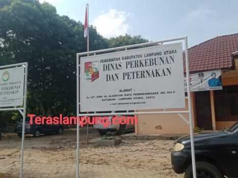 Soal Penjualan Sapi Bantuan di Tanjungraja, Dinas Perkebunan dan Peternakan Lampung Utara Klaim tak Pernah Terbitkan Persetujuan