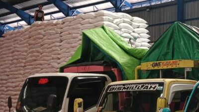 BULOG Lampung Mengklaim Telah Serap Gabah Petani Sebanyak 145.430 Ton
