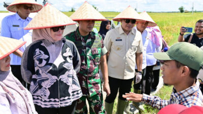 Pemkab Lampung Selatan Ikuti Panen Raya Serentak di 14 Provinsi Bersama Presiden Prabowo