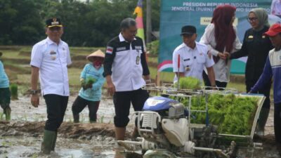 Genjot panen, Wali Kota Metro dan Gubernur Lampung Tanam Serentak Padi di Tejosari