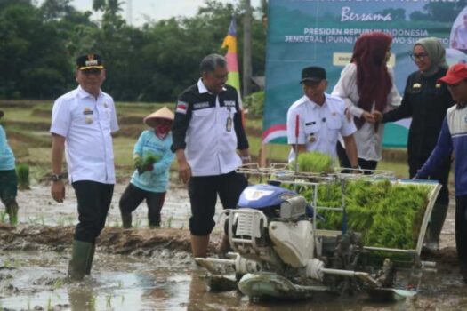 Genjot panen, Wali Kota Metro dan Gubernur Lampung Tanam Serentak Padi di Tejosari