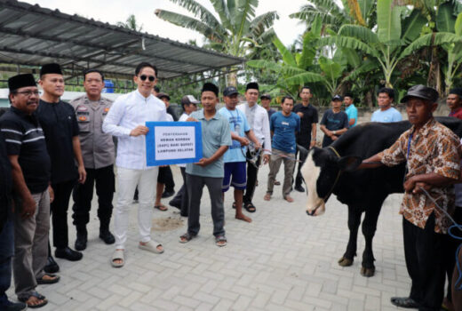 Bupati Lamsel Serahkan 42 Sapi Kurban kepada Masyarakat