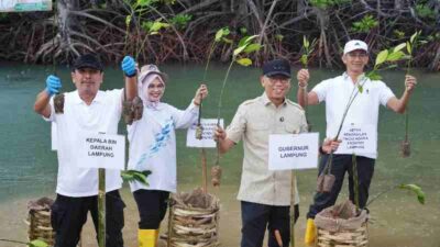 Gubernur Lampung Tanam Mangrove dan Tinjau Inovasi Appostrap di Pesawaran