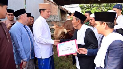 Dari Istana untuk Rakyat, Bupati Egi Salurkan Bantuan Sapi Kurban Presiden