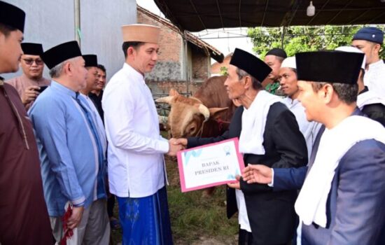 Dari Istana untuk Rakyat, Bupati Egi Salurkan Bantuan Sapi Kurban Presiden