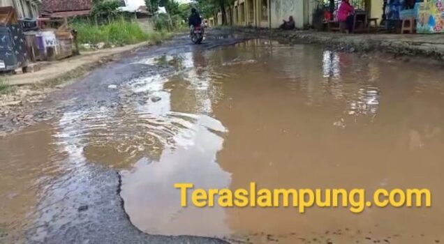 Soal Jl K.S. Tubun Seperti Kolam Ikan, Ini Respons Dinas SDABMK Lampung Utara