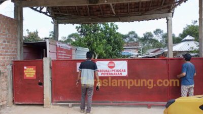 Peternakan Ayam di Lampung Utara ini Diduga tak Berizin