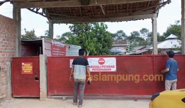 Peternakan Ayam di Lampung Utara ini Diduga tak Berizin