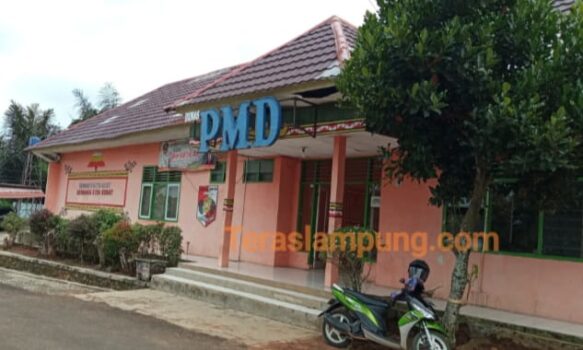 Soal Kekosongan Jabatan Tiga Kepala Desa, Ini Kata DPMD Lampung Utara