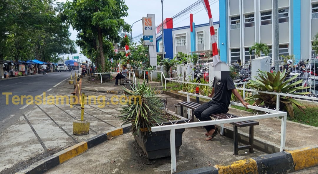 Tamannya Berdiri di atas Ruang Milik Jalan, RS Handayani Lampung Utara Diduga Serobot Tanah Negara