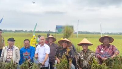 Kejaksaan dan Petani di Lampung Panen Raya, Sinergi Dorong Ketahanan Pangan Nasional