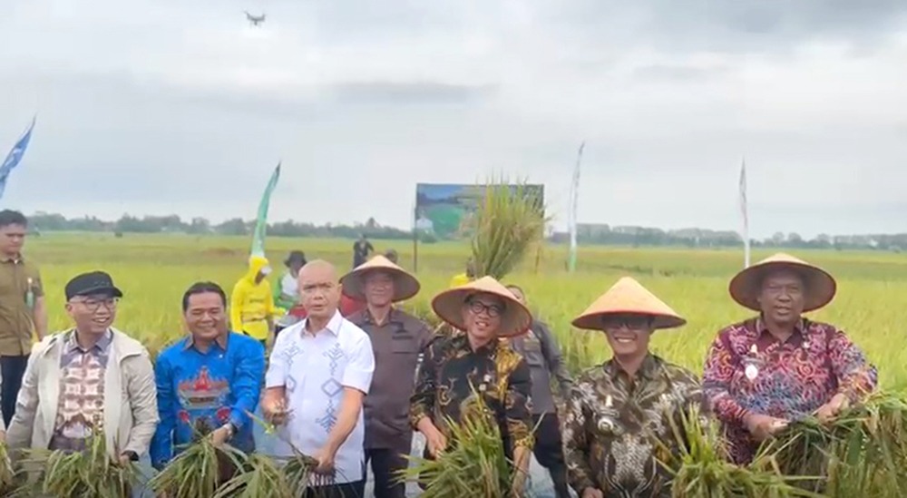 Kejaksaan dan Petani di Lampung Panen Raya, Sinergi Dorong Ketahanan Pangan Nasional