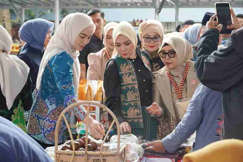 Ketua Dekranasda Resmikan Galeri UMKM Tanggamus, Wadah Inovasi dan Promosi Produk Lokal