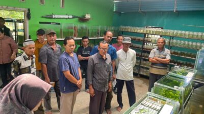 Sistem Budidaya Multitrofik, Solusi Peingkatan Produksi dan Kualitas Air dalam Budidaya Ikan Hias