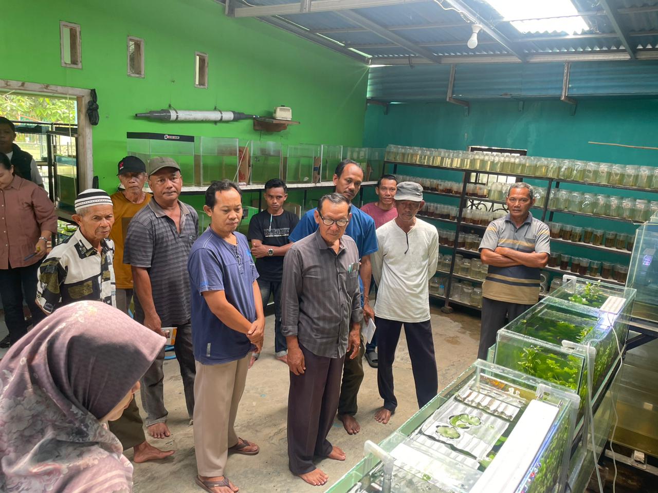Sistem Budidaya Multitrofik, Solusi Peingkatan Produksi dan Kualitas Air dalam Budidaya Ikan Hias