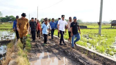 Turun ke Sawah!, Bupati Egi Janji Tuntaskan Jalan Petani yang Terbengkalai Puluhan Tahun