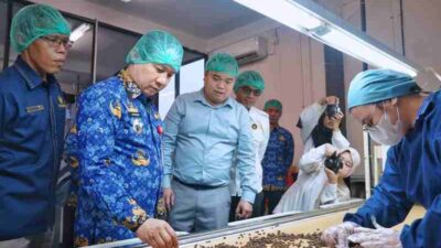Kopi Bubuk Lampung Resmi Tembus Ekspor, Tandai Babak Baru Hilirisasi
