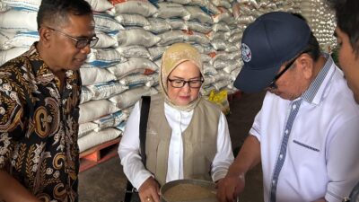 Anggota Komisi IV DPR RI Temukan Beras Berkutu di Gudang Bulog