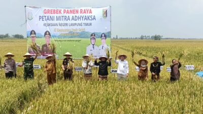 BULOG Lampung Klaim Siap Menyerap GKP Petani dengan Harga Rp6.500/kg