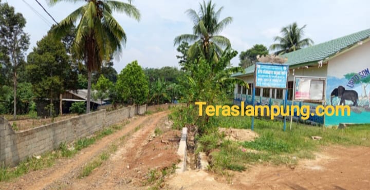 Pastikan tidak Ada Polusi, DLH Lampung Utara Bakal Tinjau Peternakan Ayam di Desa Bandarputih