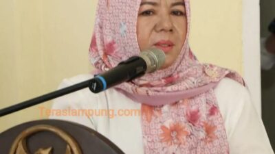 Soal Mediasi Kasus Dugaan Rudapaksa di Abungkunang, Begini Respons DPPA Lampung Utara