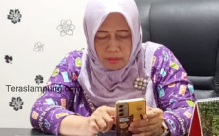 Soal Lambannya Pencairan Utang Proyek, Berikut Penjelasan Kepala Dinkes Lampung Utara