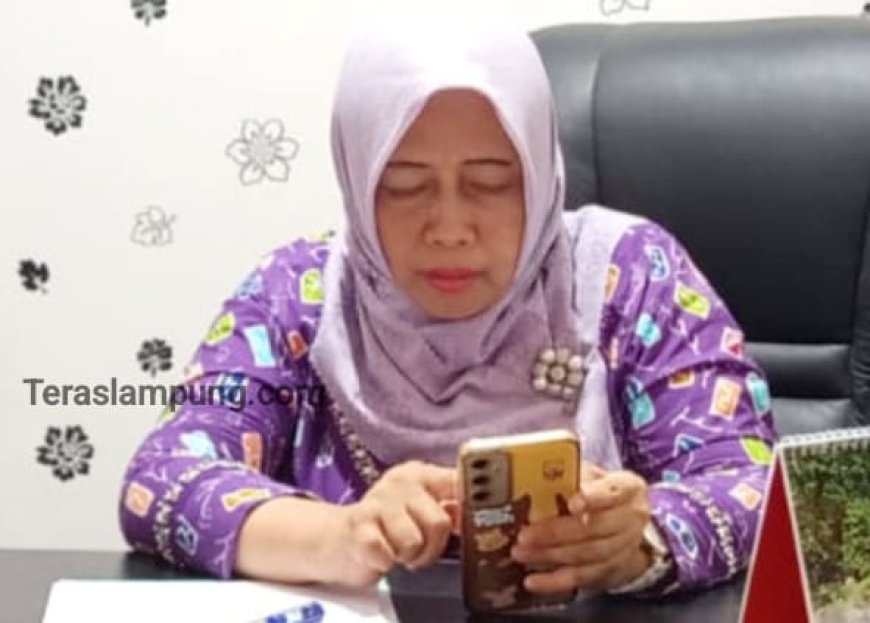 Soal Lambannya Pencairan Utang Proyek, Berikut Penjelasan Kepala Dinkes Lampung Utara