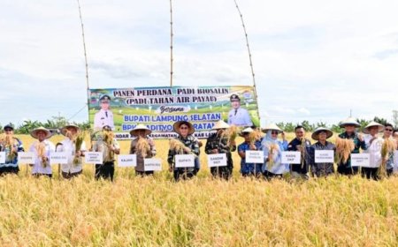 Bupati Egi Apresiasi Panen Perdana Padi Biosalin di Lahan Bekas Tambak Sragi