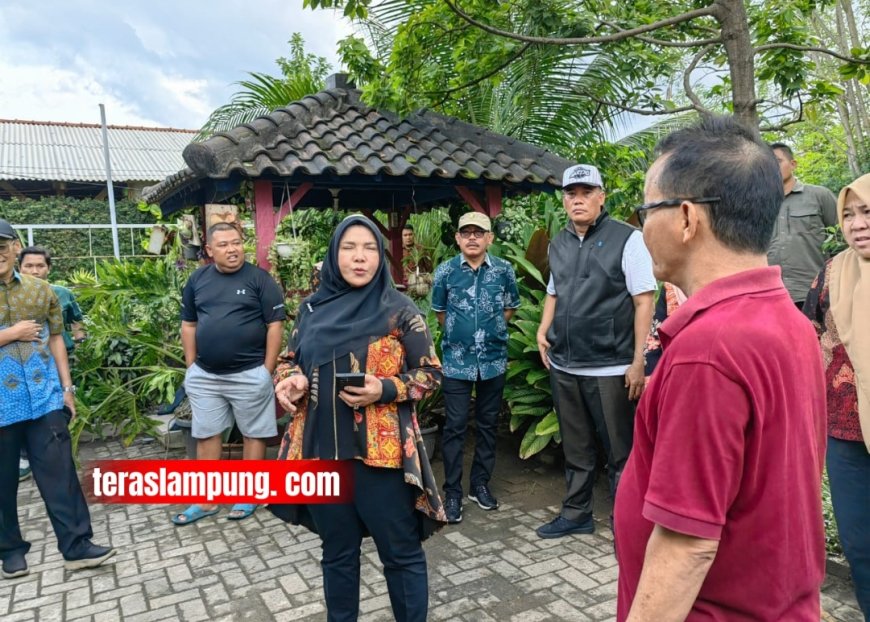 Atasi Banjir, Pemkot Bandarlampung akan Tertibkan Rumah yang Berdiri di atas Sungai dan Drainase 