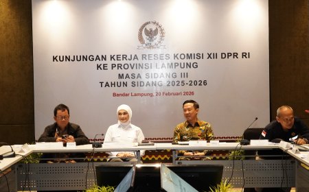 Pemprov Lampung dan Komisi XII DPR RI Bahas Pemanfaatan Energi di Provinsi Lampung
