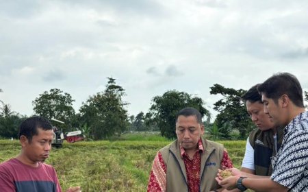 Pengadaan Gabah Bulog  Lampung di Awal 2026 Mencapai 101 ribu ton GKP