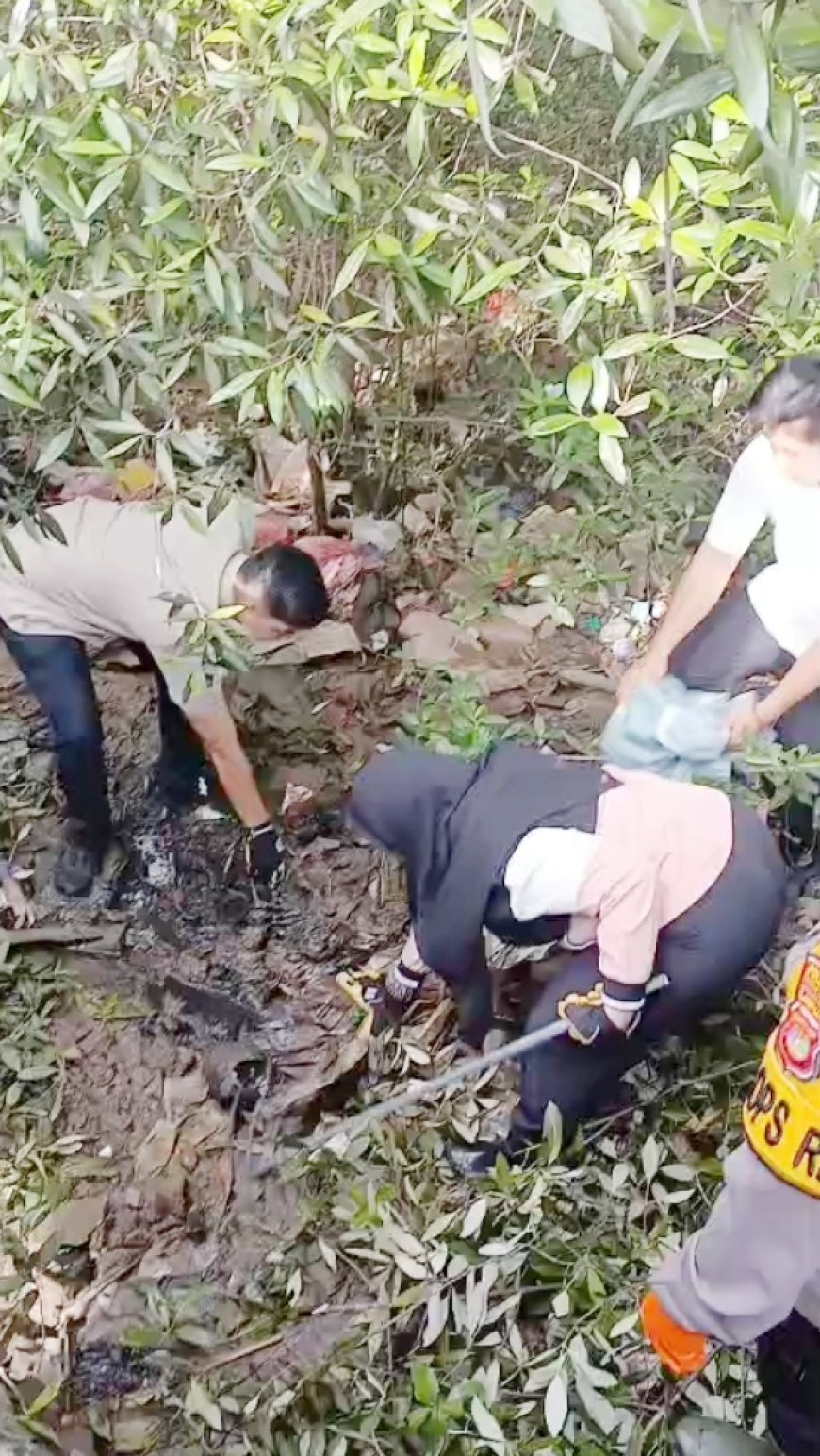 Pemkot Bandarlampung bersama Pemprov Lampung Gelar Bersih-bersih di Pulau Pasaran