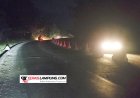 Satu Dasawarsa Tanpa Perbaikan: Kegelapan Jalinsum Lampung Masih Jadi Hantu bagi Para Pemudik