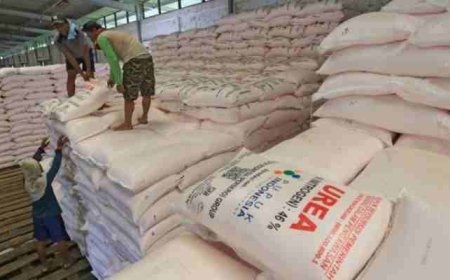 Komisi II DPRD Lampung Minta Pengawasan Pupuk Subsidi Diperketat