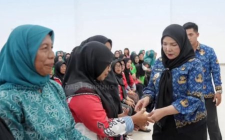 Pemkot Bandarlampung Salurkan Insentif Kader di Langkapura dan Kemiling
